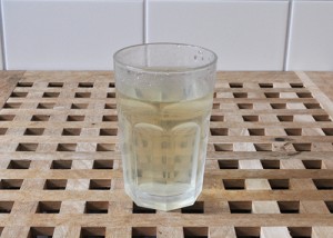 dnger fr schlangengurken Purgrn Bio-Gurkendnger 1 Liter